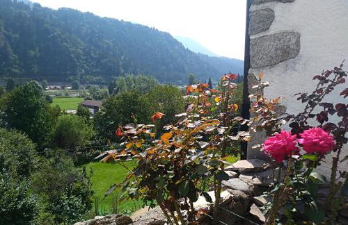 Cjasa da Puci - Foto 36