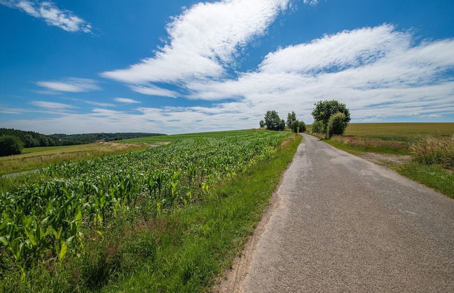 Luxurious House With Sauna in Bastogne - Foto 37