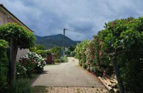 Le jardin de Domi - Foto 21