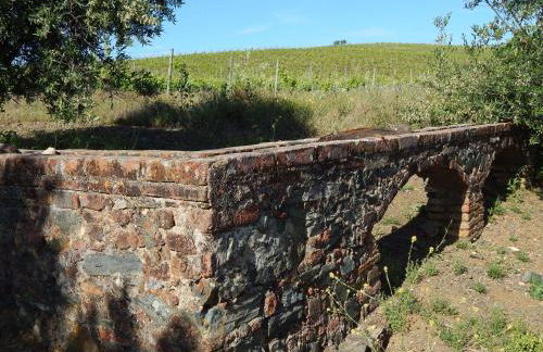 Quinta das Ratoeiras - Foto 26