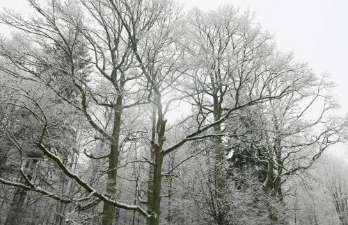 Cztery Pory Roku - Foto 69