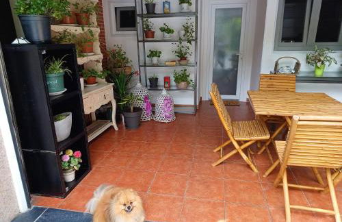 Casa Raposeira - Foto 41