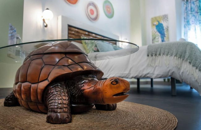 Molucano Themed Rooms - Photo 11