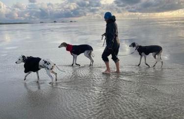 Landhaus Sonnenglück - Foto 15