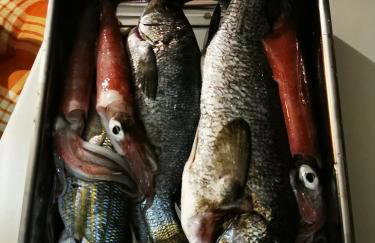 Residence Family Plazina - Place 1 & 2 - Foto 51