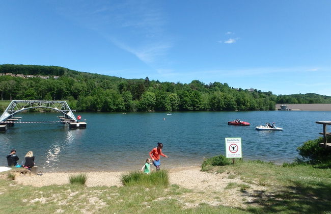 Modern Holiday Home in Eifel With Sauna - Foto 33