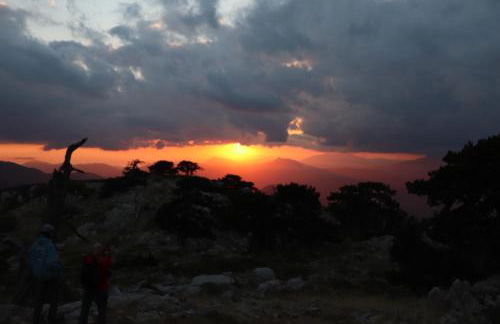 Villa Manca - Photo 28