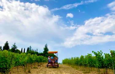 Agriturismo La Pineta - Foto 56