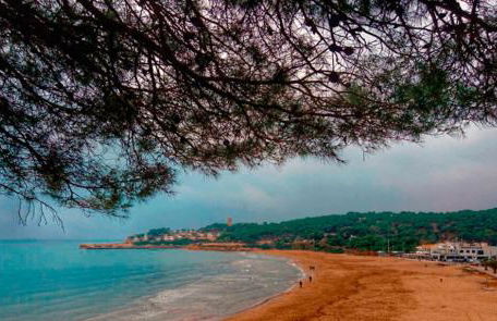 Calipso Tamarit - Foto 74