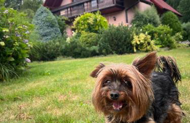 LAWENDOWA PRZYSTAŃ - dom nad rzeką - Brenna, 10 osób, sauna, balia z jacuzzi, ogród, plac zabaw - Foto 37