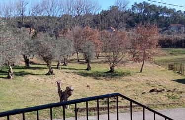 Alojamento Local - Casa Amarela - Foto 20