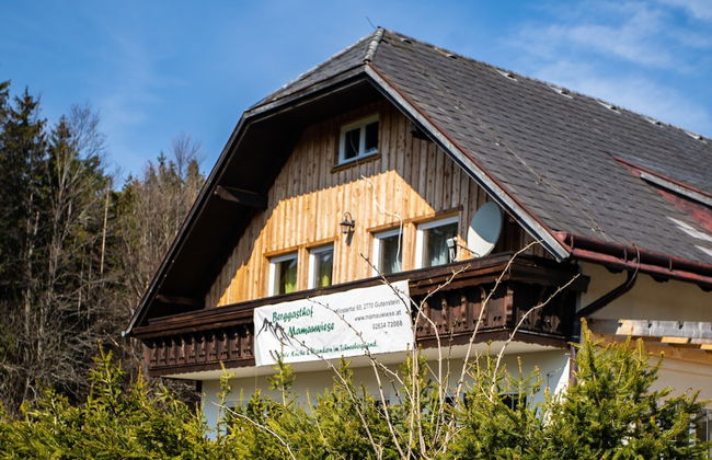 Ferienwohnungen Mamauwiese - Foto 76