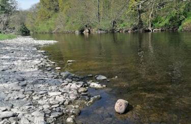 Cottage by the river in Cenarth with seasonal fishing and Wifi - Foto 5