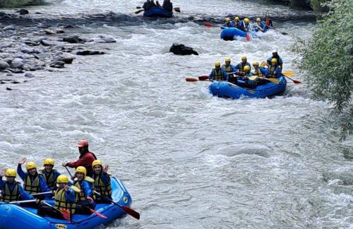 apartment Ravelli - Photo 8