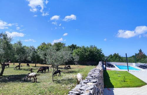 Holiday Home Respira - Foto 49