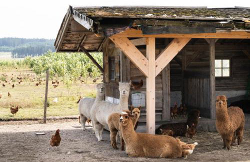 Ferienwohnung Balkon - Photo 7