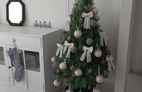 Rincón del Mar Terrazas y vistas a la Ría de Vigo - Foto 11