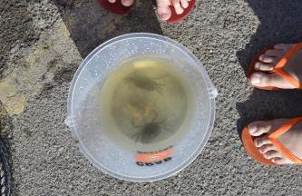 Westpoint Apartments - Foto 29