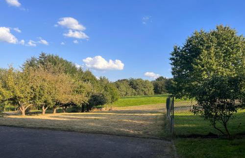 Kotteme Bude! - Foto 12