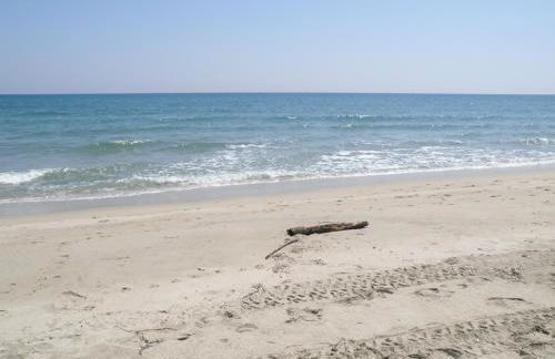 Residence de Tourisme Marina Corsa - Foto 54