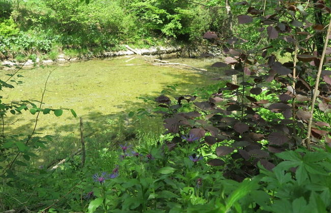 Nagelsmederij in het Huis Waldwinkel - Foto 15