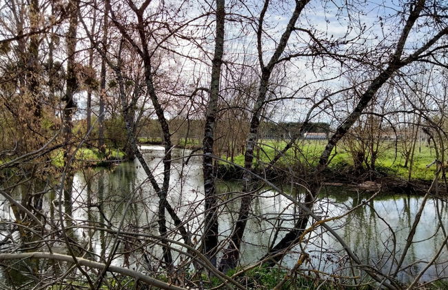 Les Logis de la Seugne - Foto 16