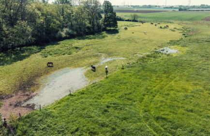 Romantik Studio - Cozy - Stylisch - Naturnah - Foto 29