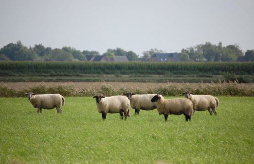 Reetdachhaus Moordeichperle - Photo 33