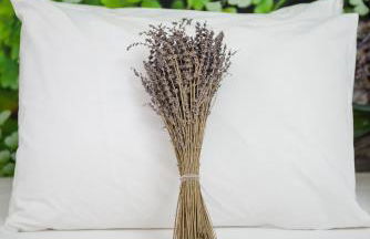 Kaerati Apartments - Foto 7