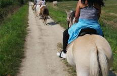 Le gîte Bleu - Foto 9