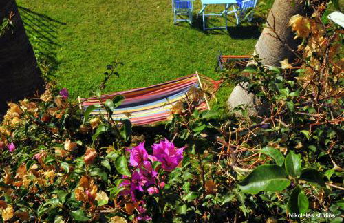 Nikoleta's Studios - Photo 42