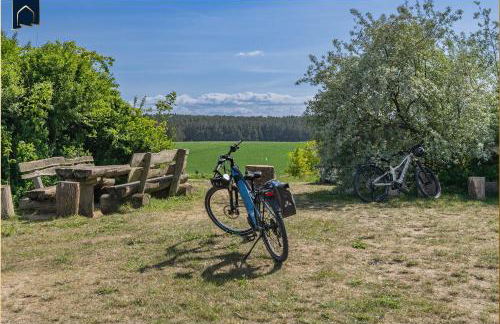 An der Haffküste Haffkoje - Foto 41
