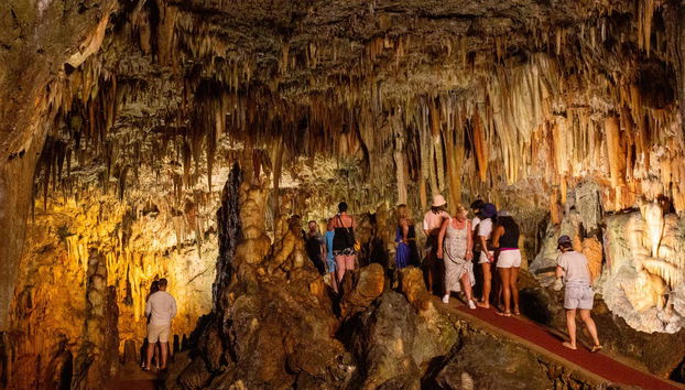 Visite dans Céphalonie - Photo 4