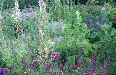 Gîte La Boutardière - Foto 18