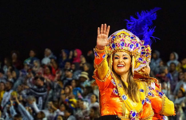 Desfile do carnaval de São Paulo em camarote VIP - Foto 5