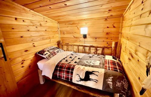 Watauga Lake Retreat Cozy family cabin Sleeps 8 - Photo 14