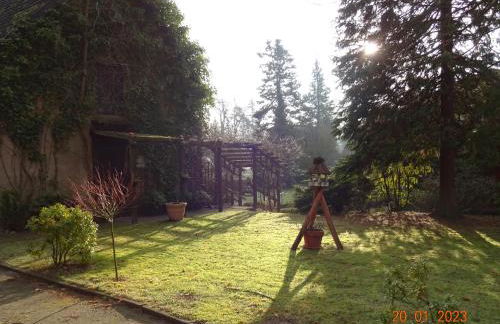 Ferienwohnung am Dorfpark - Foto 19