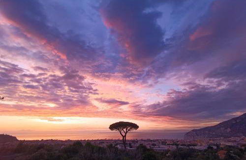 La Pigna Sorrento - Foto 36