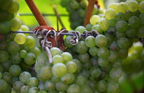 Appartement Familie Ernst - Foto 11