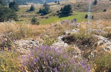 Luxury Family 2BR - Prime Location, Walk to Beach & Shopping, Sunny Balcony - By Totolulu Cannes Hoche - Foto 52