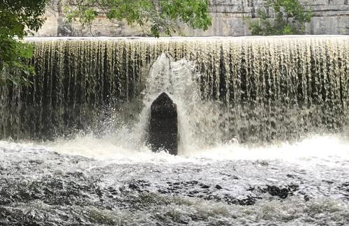 River View - Photo 27