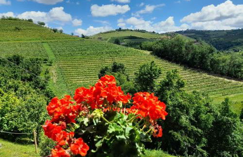 Madama Langa Country House con piscina nelle vigne - Foto 73