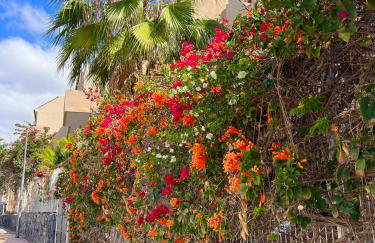 Paz Ocean View, 2 Air Conditioners, Wifi, Heated pool - Foto 60