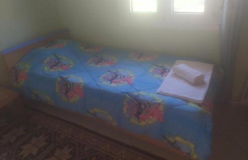 Όμορφο φυσικό περιβάλλον - Foto 3