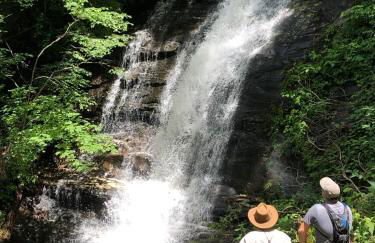 Waterfall Overlook at Bearfoot Falls - Foto 1