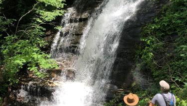 Waterfall Overlook at Bearfoot Falls - Foto 1