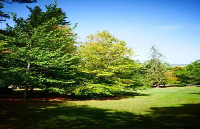 Maison Le Saint Pierre With Lots of Charm - Foto 40