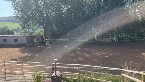 Pferdehof Simon - Foto 5