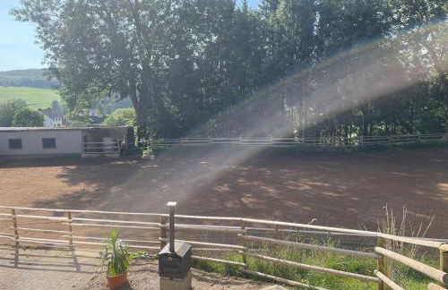 Pferdehof Simon - Foto 5