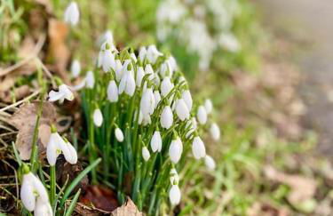 Mill Farm Retreat - Foto 38